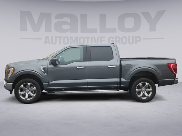 Used 2022 Ford F150 XLT w/ Equipment Group 302A High image 2