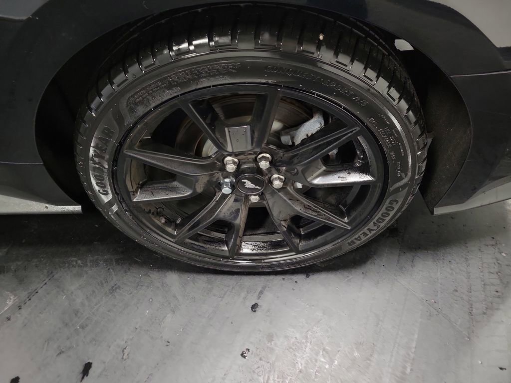 Used 2017 Ford Mustang GT Premium w/ Black Accent Package image 11