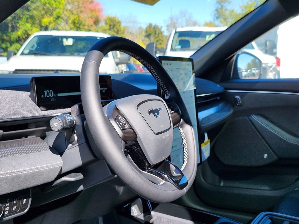 New 2025 Ford Mustang Mach-E GT w/ Interior Protection Package image 19