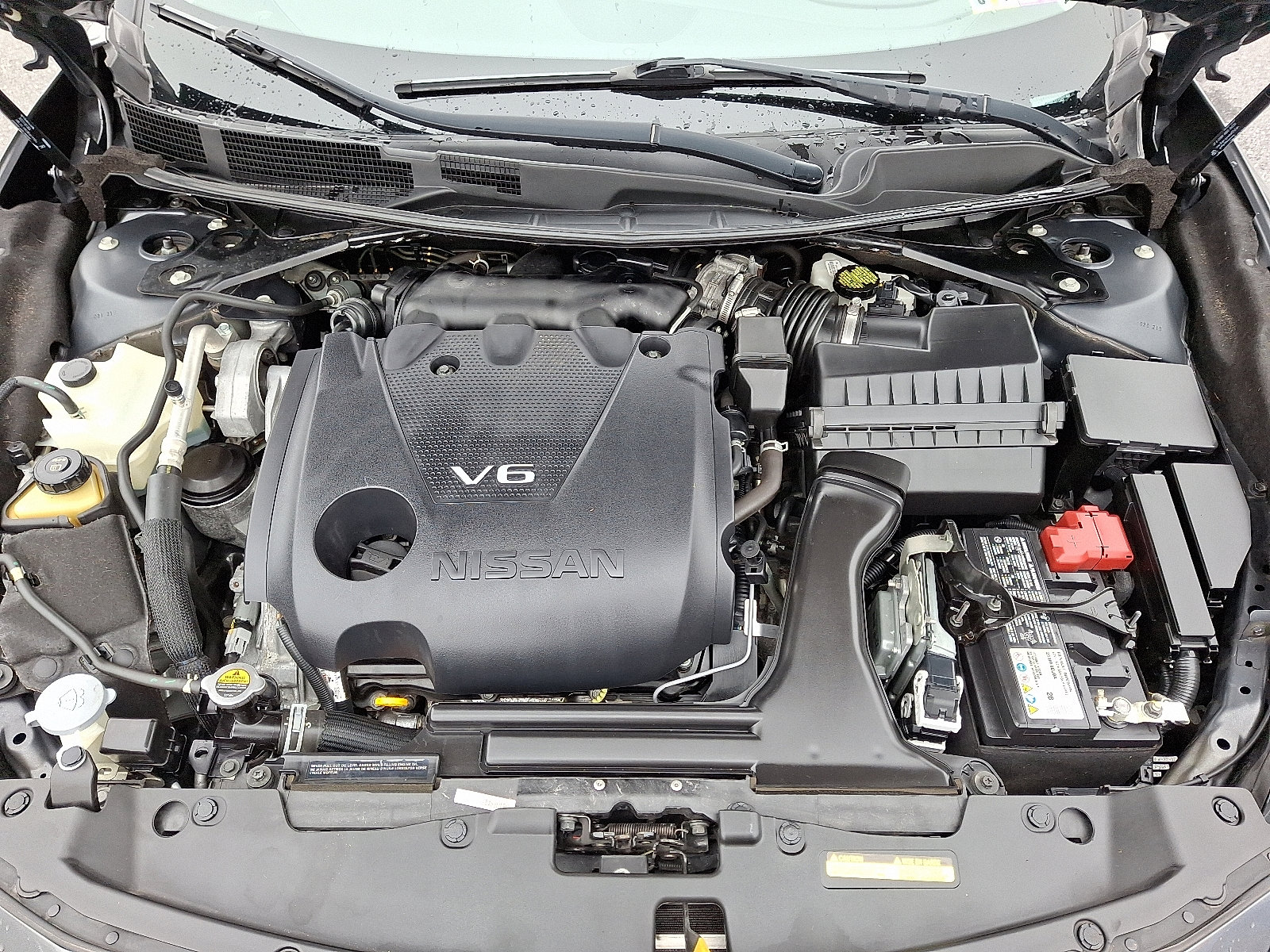 Used 2021 Nissan Maxima 3.5 SV w/ Floor Mat Group image 28