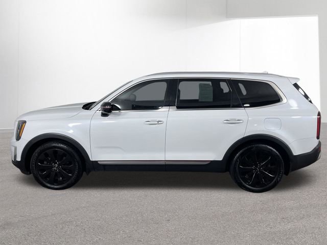 Used 2020 Kia Telluride SX image 13