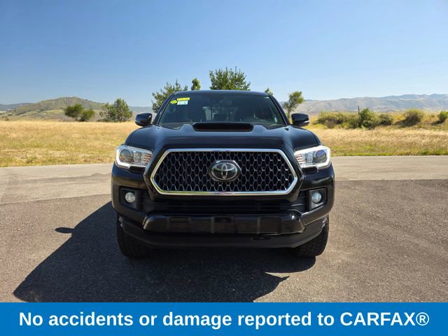 Used 2018 Toyota Tacoma TRD Sport AWD/4WD image 3