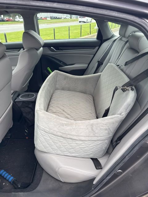 Used 2019 Honda Accord EX-L image 7