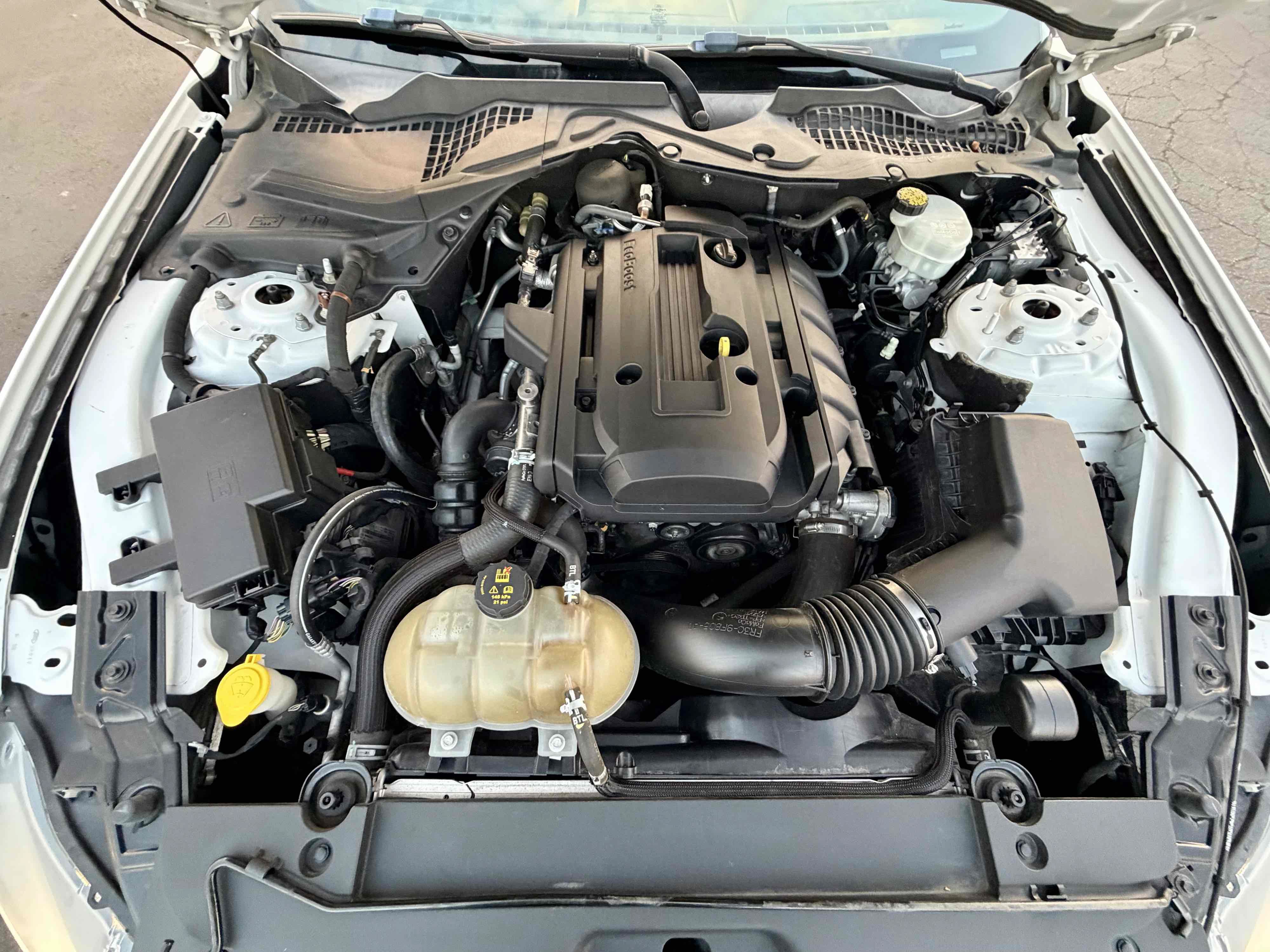 Used 2017 Ford Mustang Coupe RWD image 23