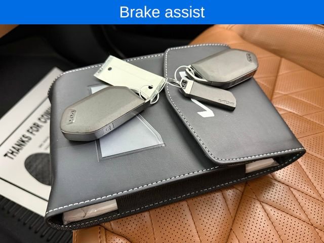 Used 2024 Kia Telluride SX Prestige X-Pro image 29