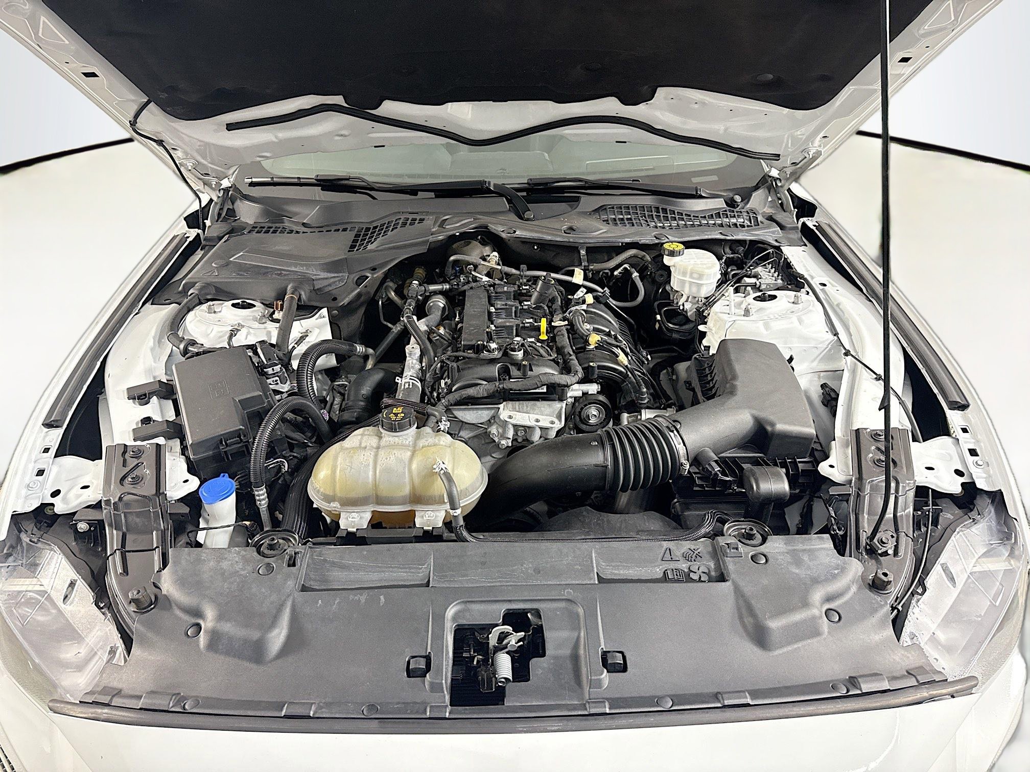 Used 2021 Ford Mustang EcoBoost image 37