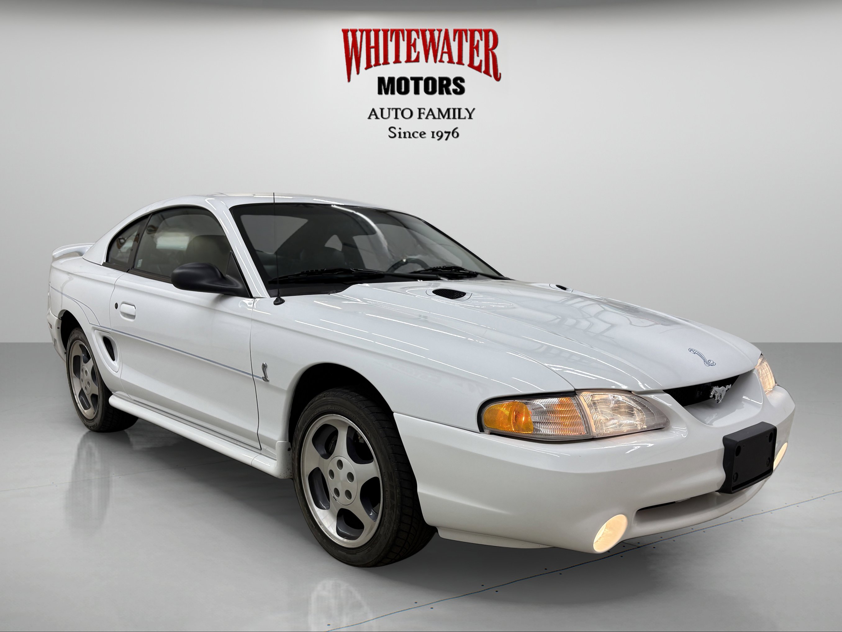 Used 1996 Ford Mustang Cobra RWD image 5