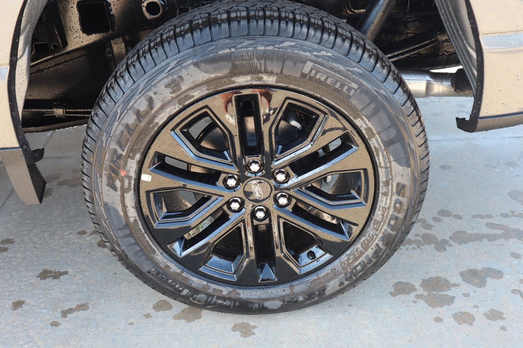 New 2025 Ford F150 XLT w/ Equipment Group 302A MID image 20