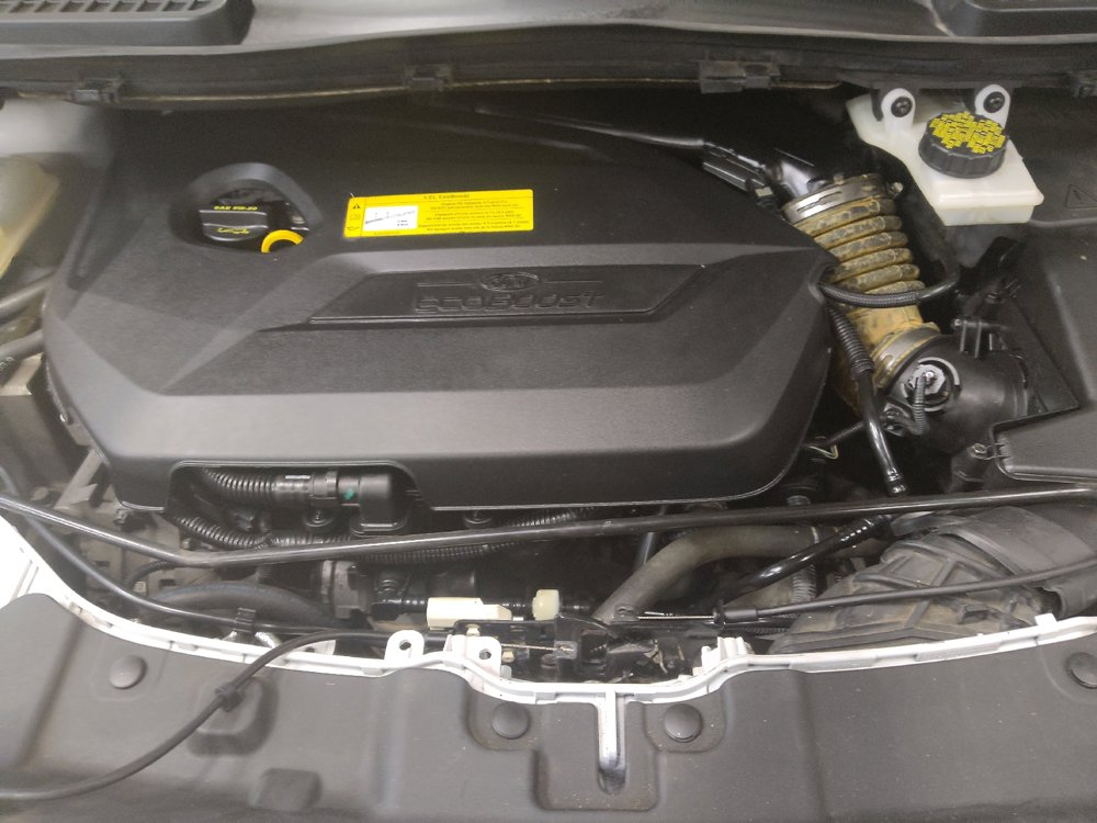 Used 2016 Ford Escape SE AWD/4WD image 30