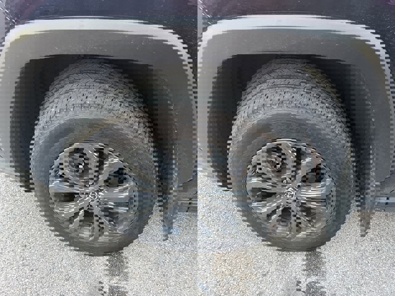 Used 2024 Toyota RAV4 XLE Premium image 13