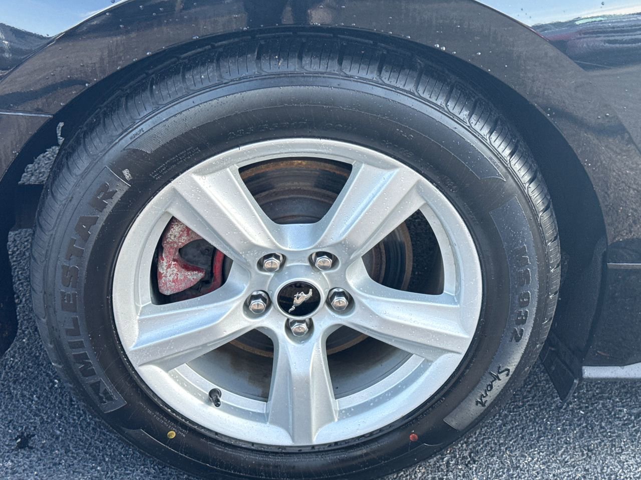 Used 2016 Ford Mustang Coupe image 9