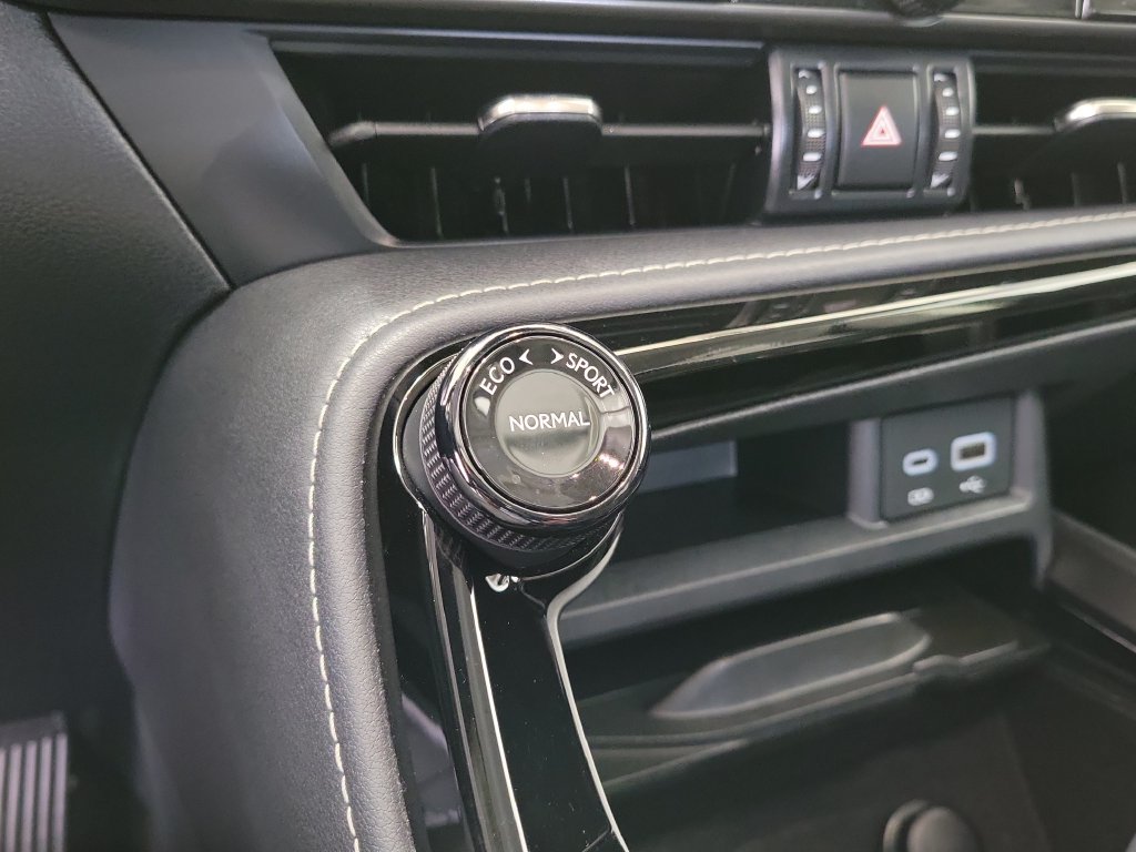 Used 2024 Lexus NX 250 FWD image 28