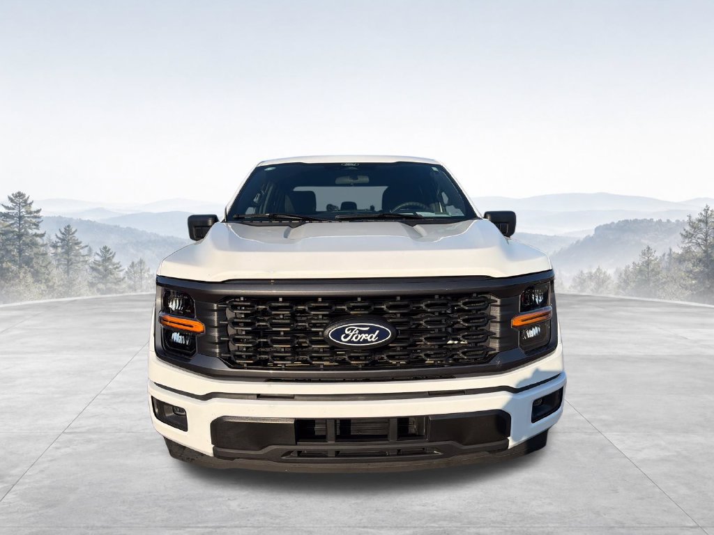 Used 2025 Ford F150 STX w/ Equipment Group 200A RWD image 15