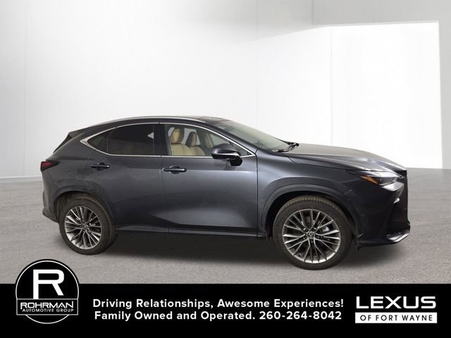 Used 2025 Lexus NX 300h AWD w/ Luxury Package image 5