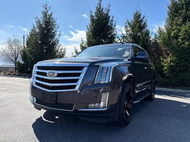 Used 2016 Cadillac Escalade Luxury image 1