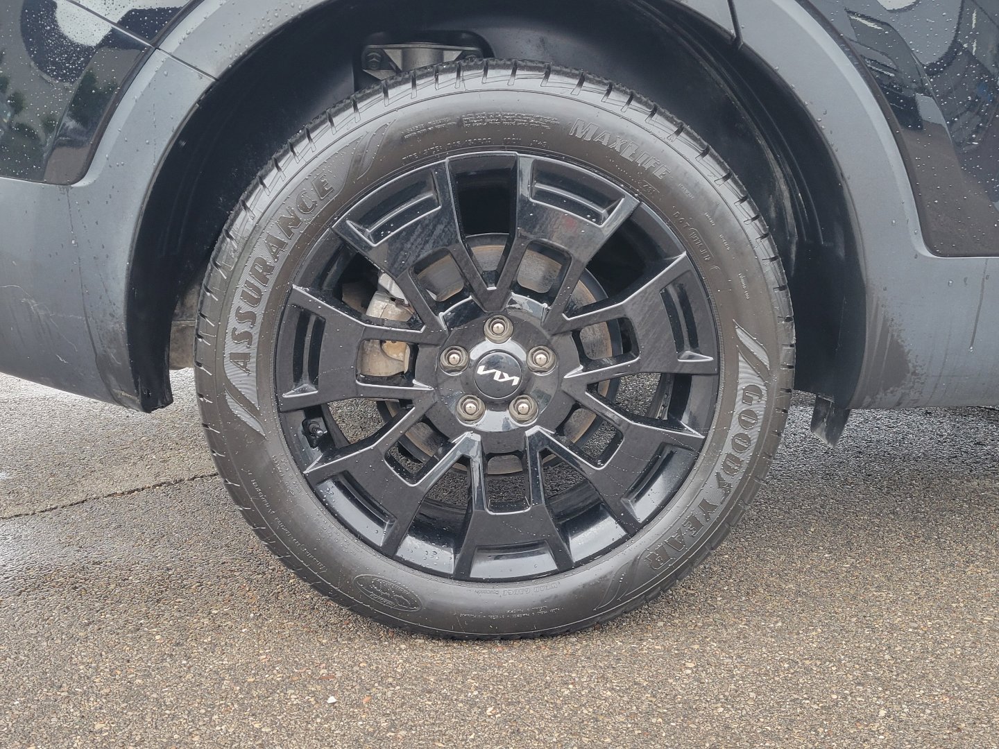 Used 2022 Kia Telluride EX w/ EX Premium Package image 5