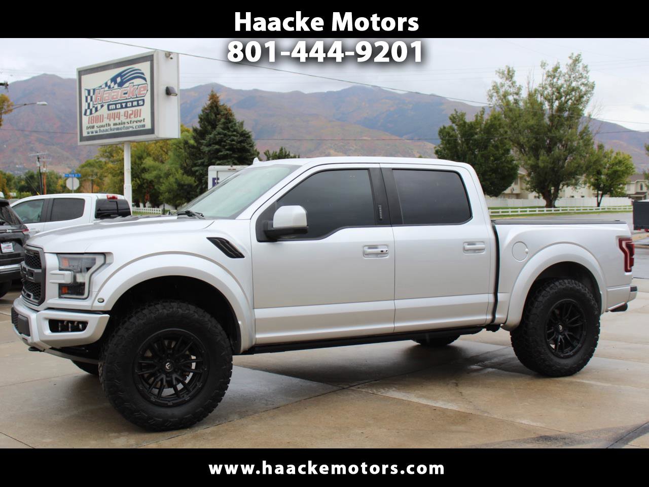 Used 2019 Ford F150 Raptor w/ Equipment Group 802A Luxury image 1