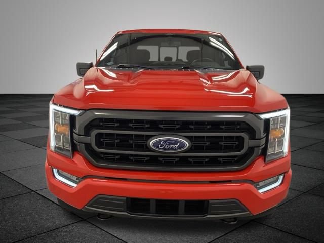 Used 2021 Ford F150 XLT w/ Equipment Group 302A High AWD/4WD image 2