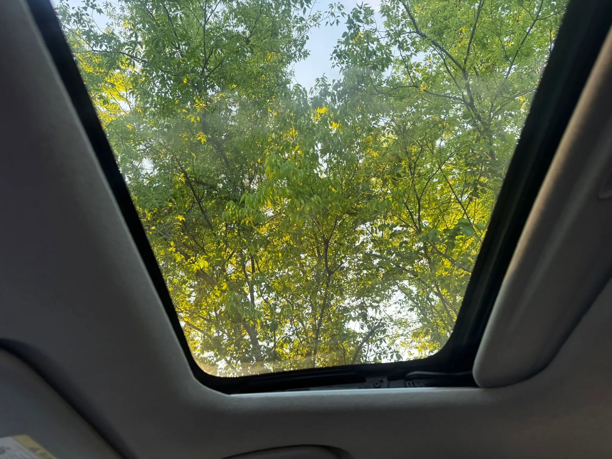 Used 2016 Hyundai Elantra Value Edition FWD image 19