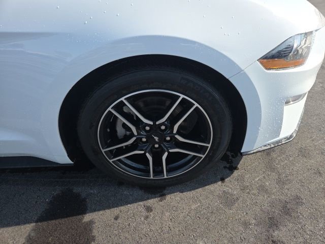 Used 2023 Ford Mustang Premium RWD image 20