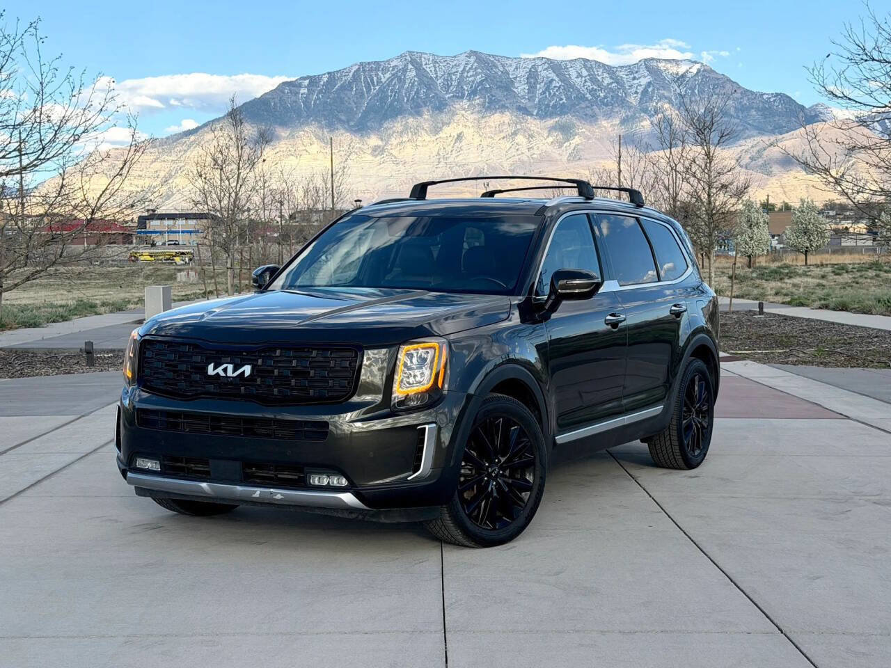 Used 2020 Kia Telluride SX w/ SX Prestige Package image 1