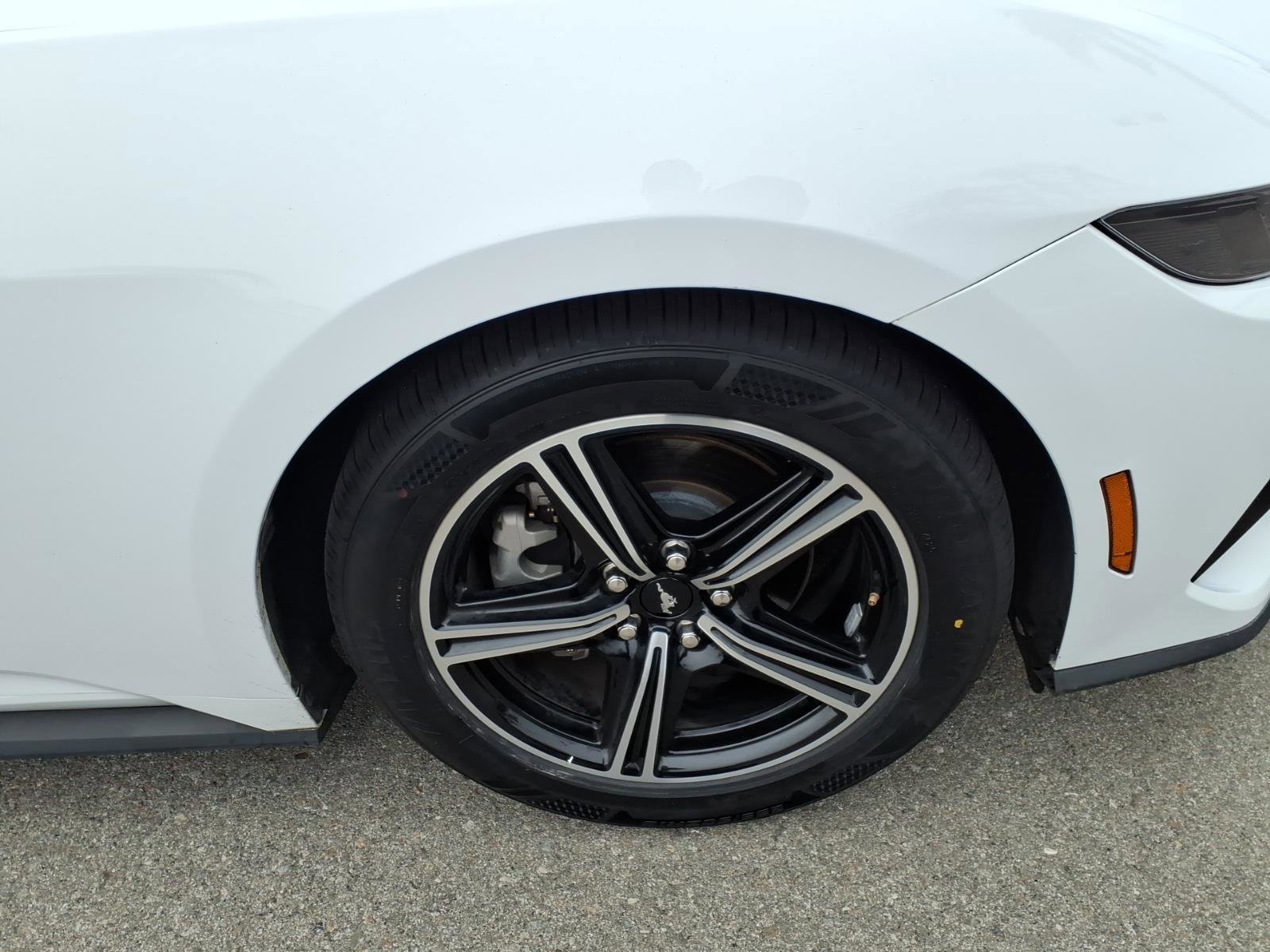 Used 2025 Ford Mustang Premium RWD image 5