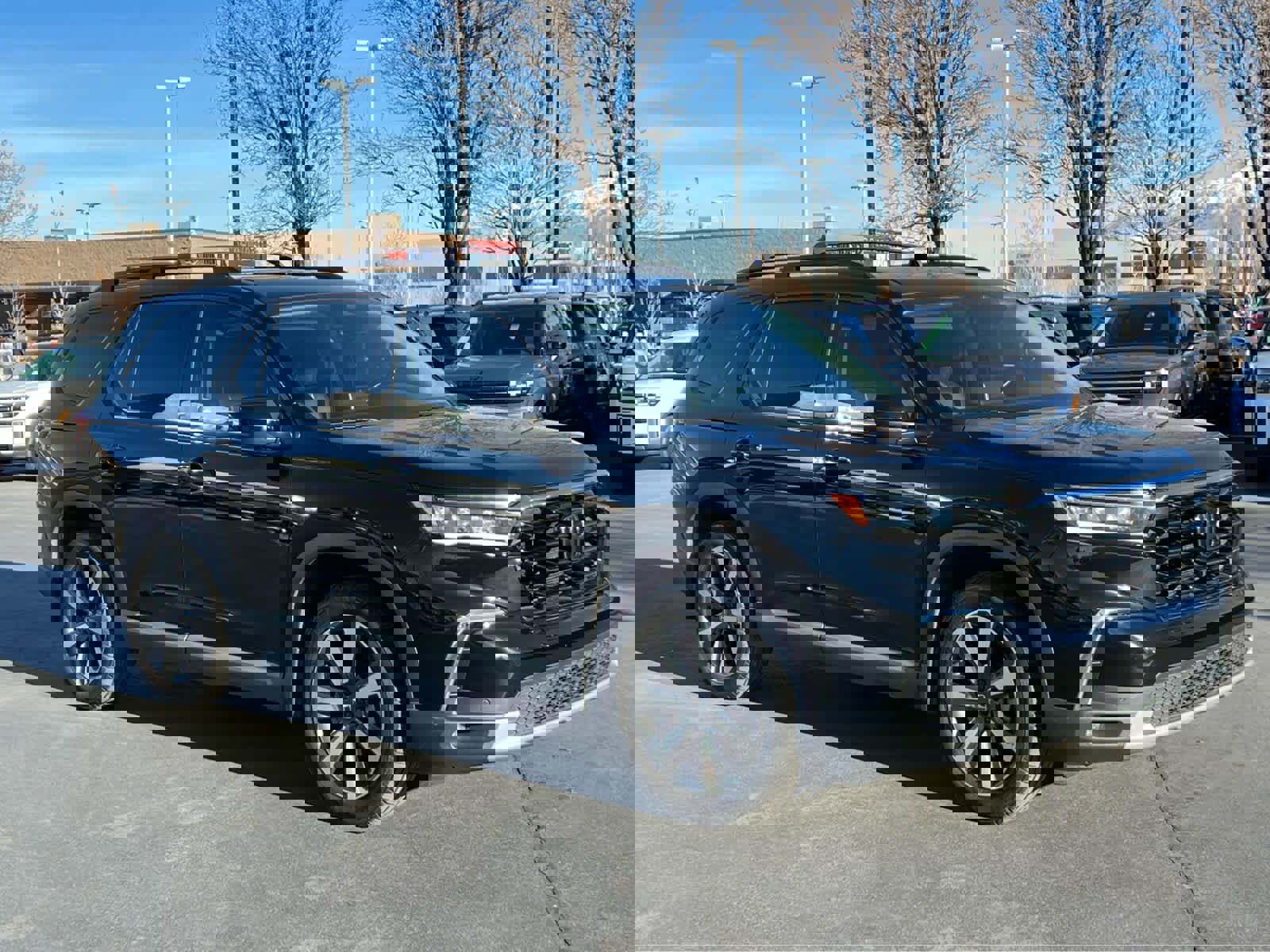 Used 2023 Honda Pilot Touring image 5