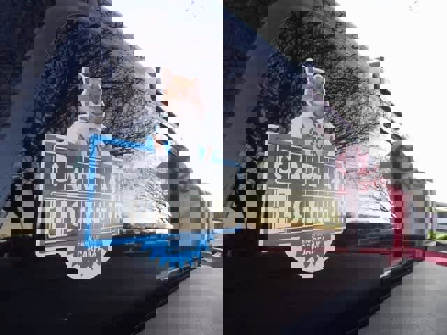 Used 2022 Toyota Tacoma SR5 image 7