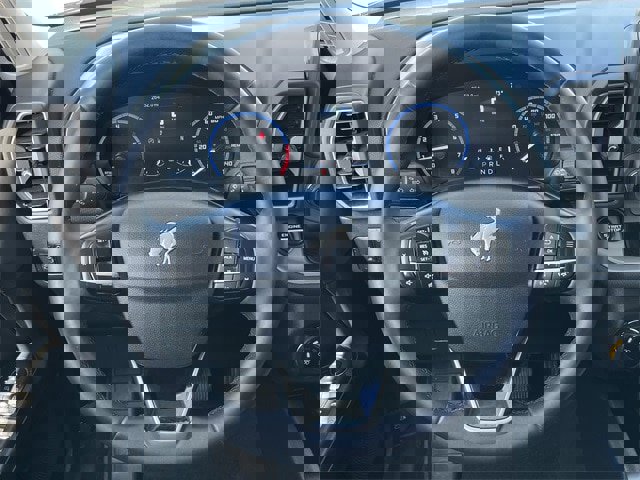 Used 2024 Ford Bronco Sport Big Bend w/ Convenience Package image 11