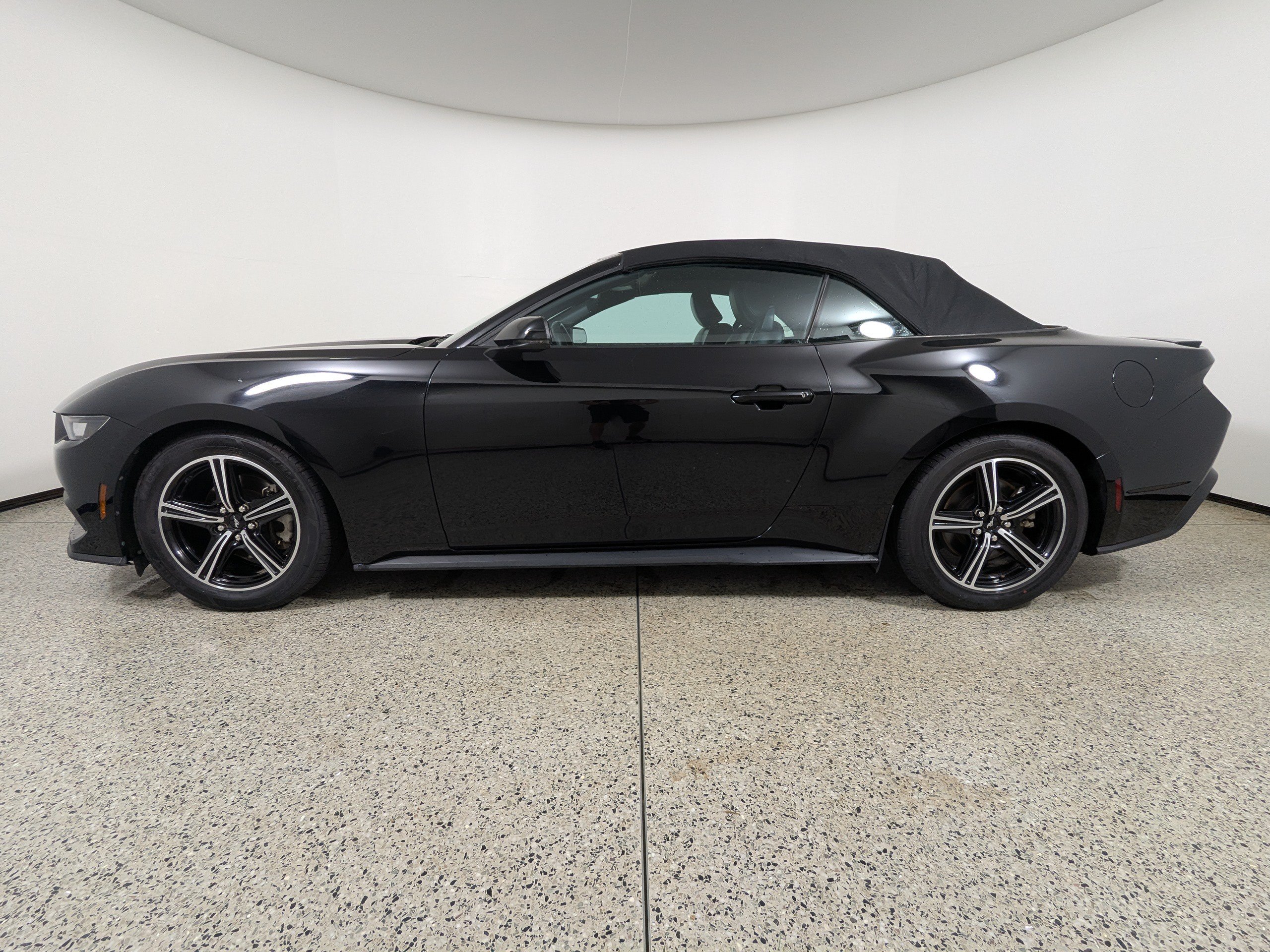 Used 2024 Ford Mustang Premium RWD image 4