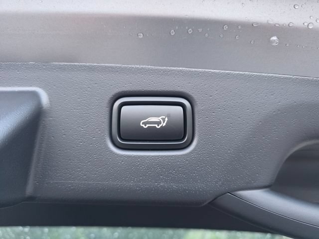 New 2026 Kia Niro Wind w/ Wind Preserve Package FWD image 10