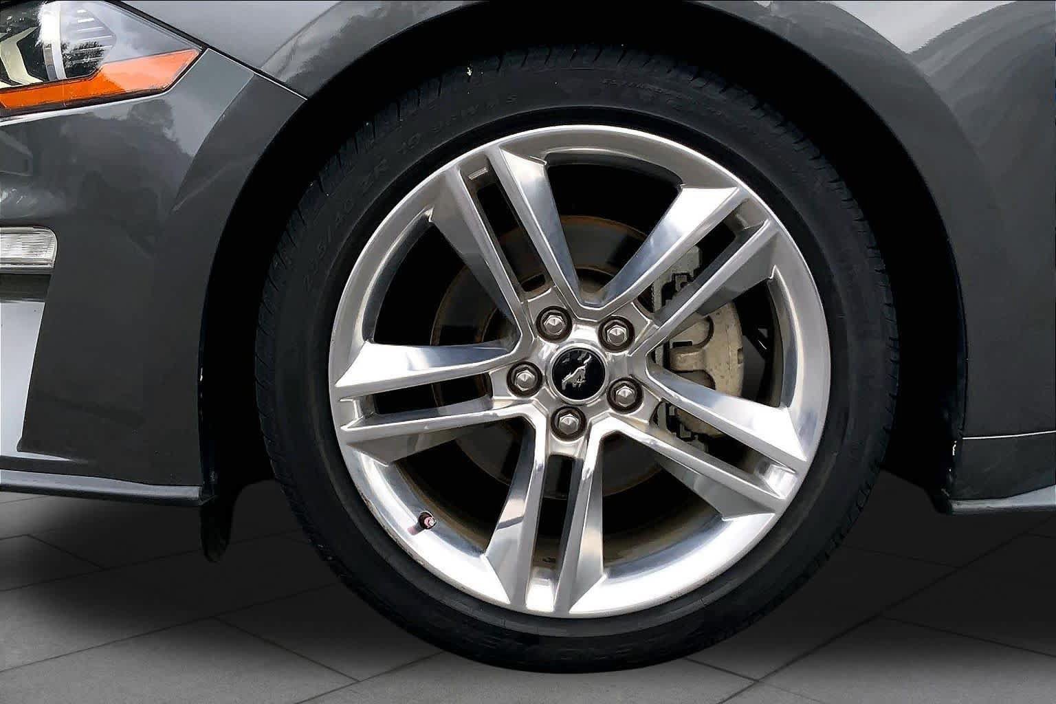 Used 2019 Ford Mustang Premium w/ Equipment Group 201A RWD image 9