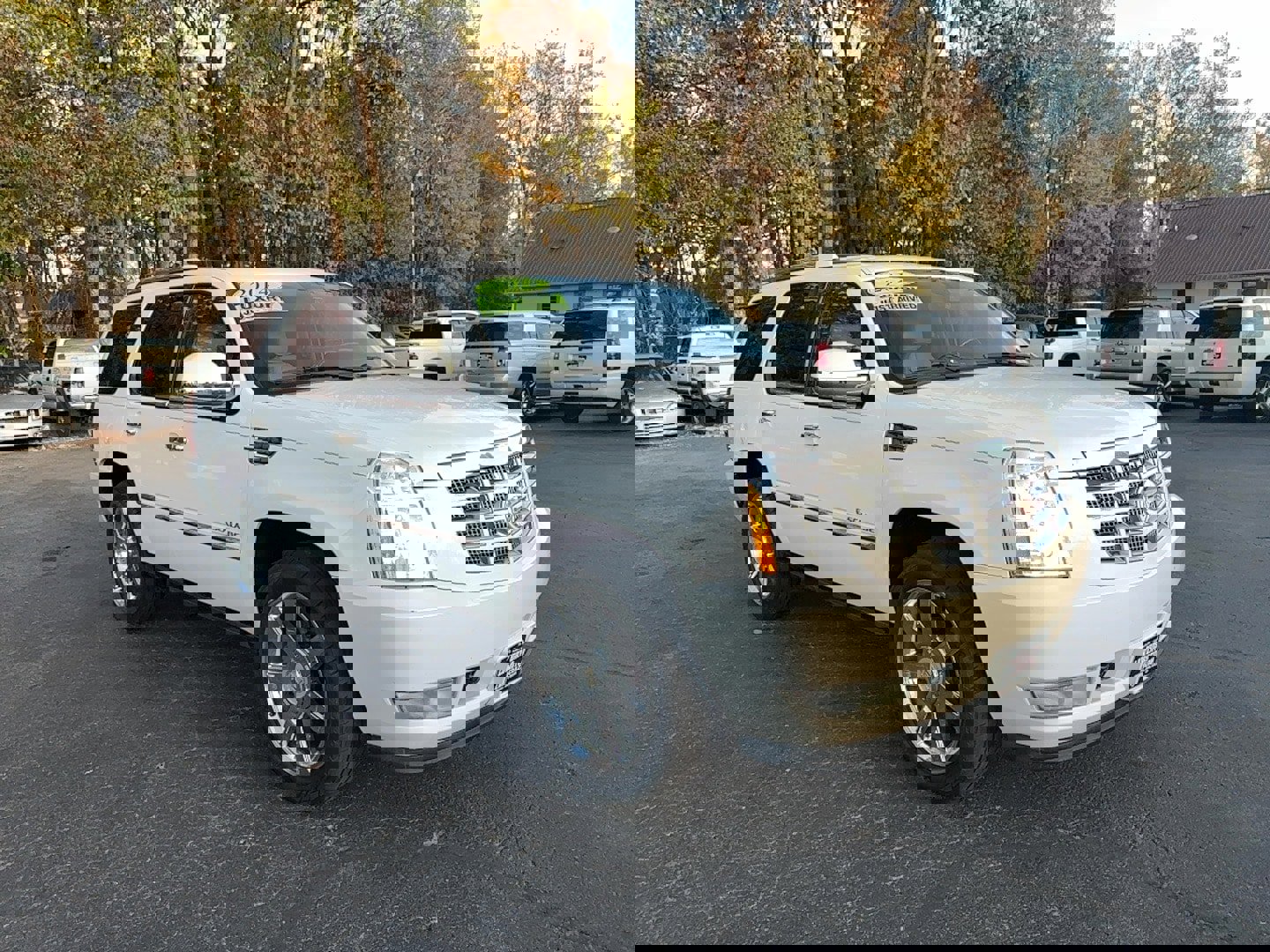 Used 2014 Cadillac Escalade Luxury image 3