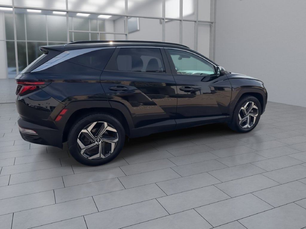 Used 2022 Hyundai Tucson SEL w/ Convenience + Premium Package AWD/4WD image 8