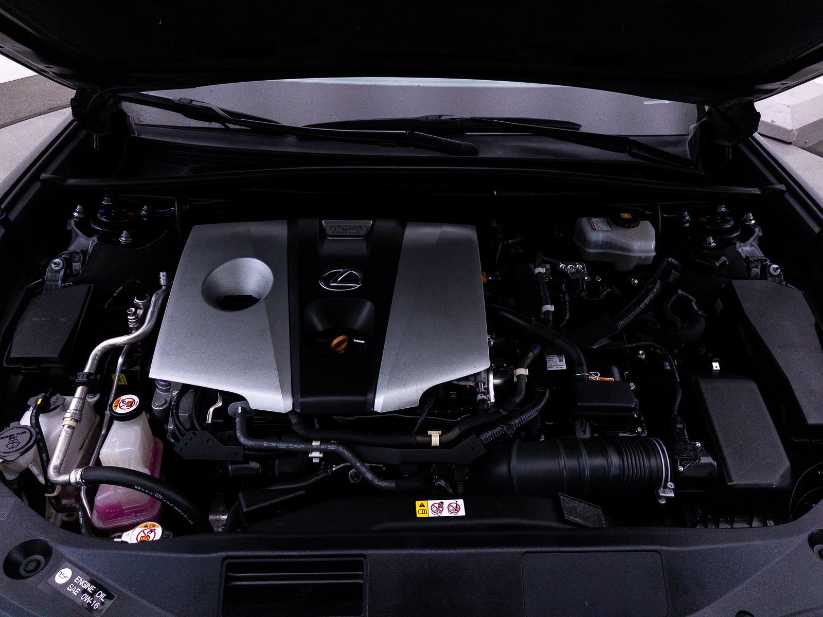 Used 2020 Lexus ES 300h w/ Premium Package FWD image 9