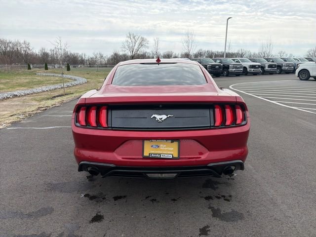 Used 2021 Ford Mustang EcoBoost w/ Equipment Group 101A image 7