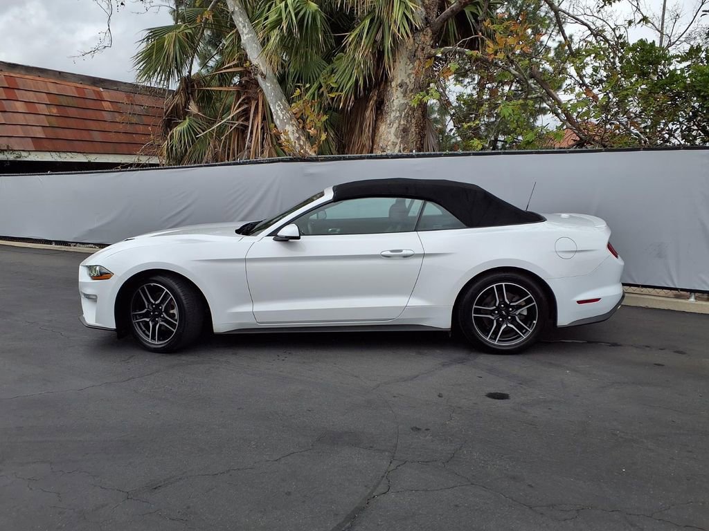 Used 2019 Ford Mustang Premium image 3