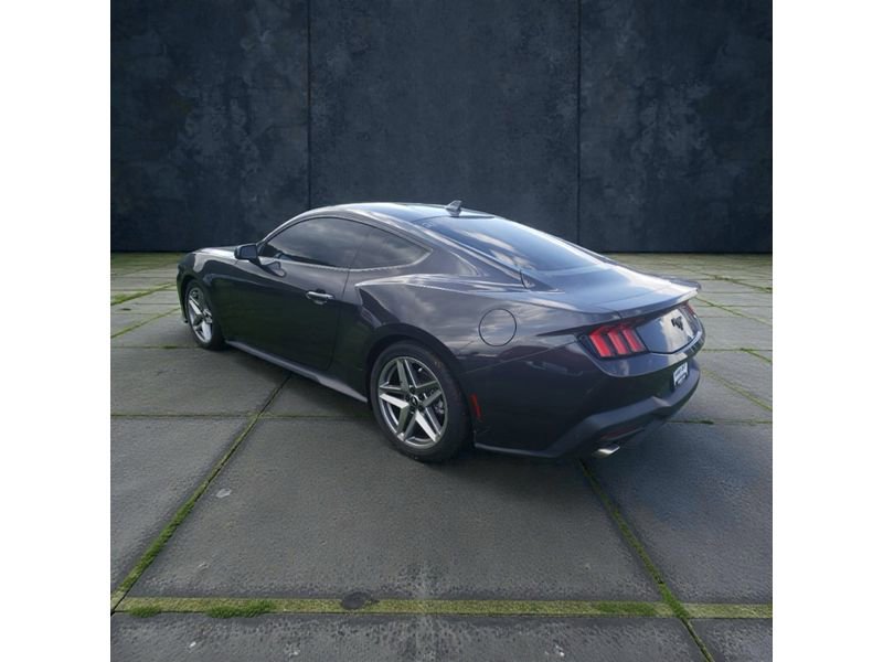 Used 2024 Ford Mustang Coupe image 3