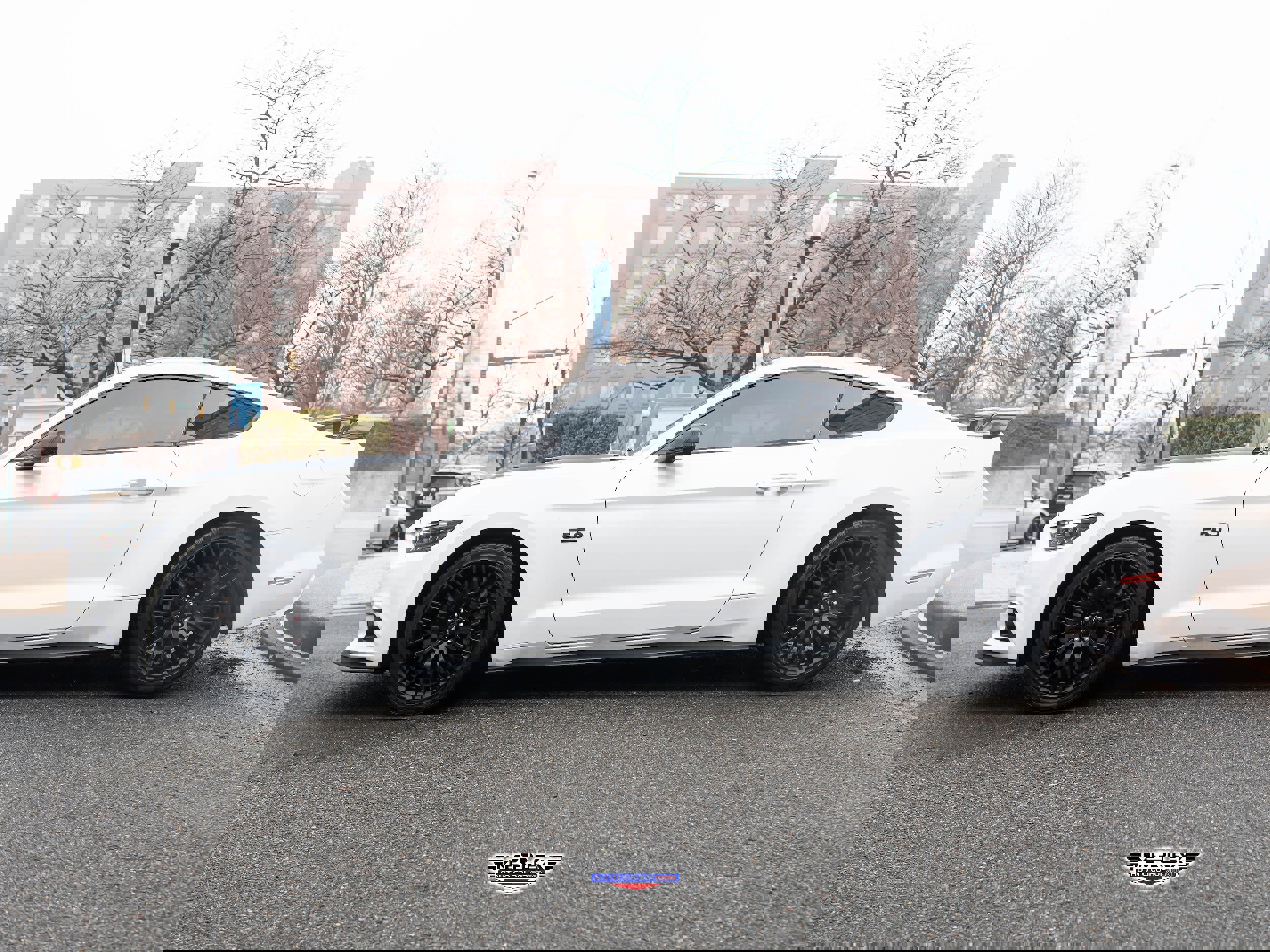 Used 2017 Ford Mustang GT w/ GT Performance Package image 4