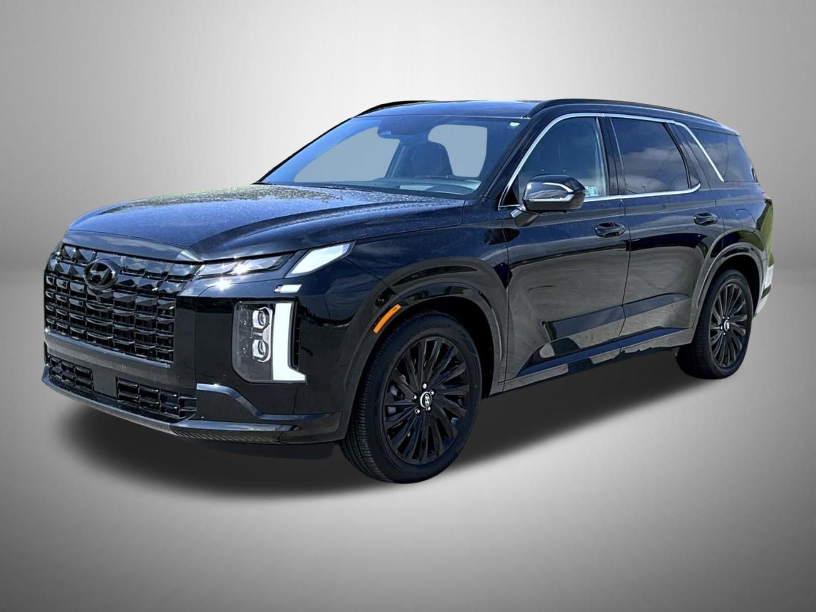 Used 2025 Hyundai Palisade Calligraphy