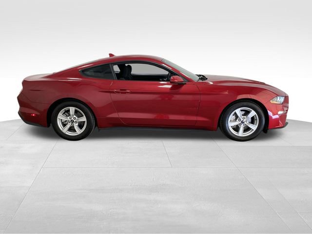 Used 2023 Ford Mustang EcoBoost video 2