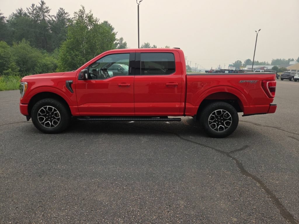 Used 2023 Ford F150 XLT w/ Equipment Group 302A High AWD/4WD image 7