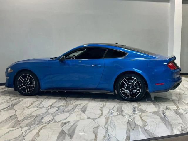 Used 2019 Ford Mustang EcoBoost w/ Equipment Group 101A image 9