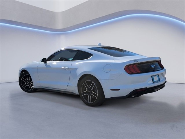 Used 2023 Ford Mustang Premium w/ Equipment Group 201A image 9