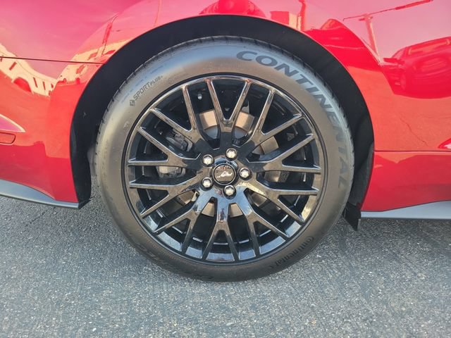 Certified 2019 Ford Mustang GT Premium w/ GT Performance Package RWD image 5