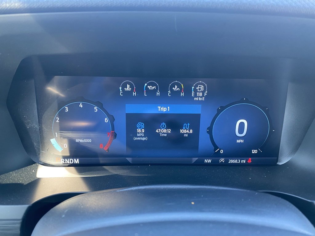 New 2025 Ford F150 XLT w/ Equipment Group 301A Standard image 19