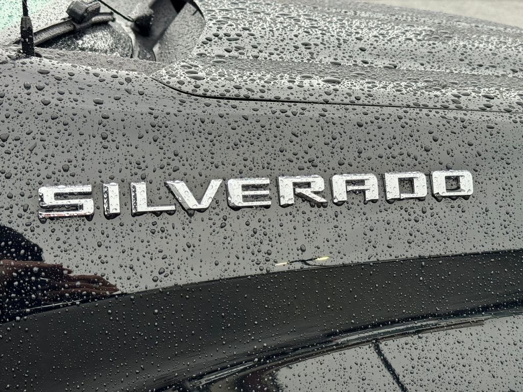 Used 2019 Chevrolet Silverado 1500 LT w/ All-Star Edition image 13