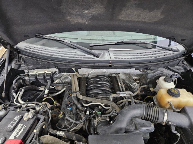 Used 2013 Ford F150 XLT AWD/4WD image 7