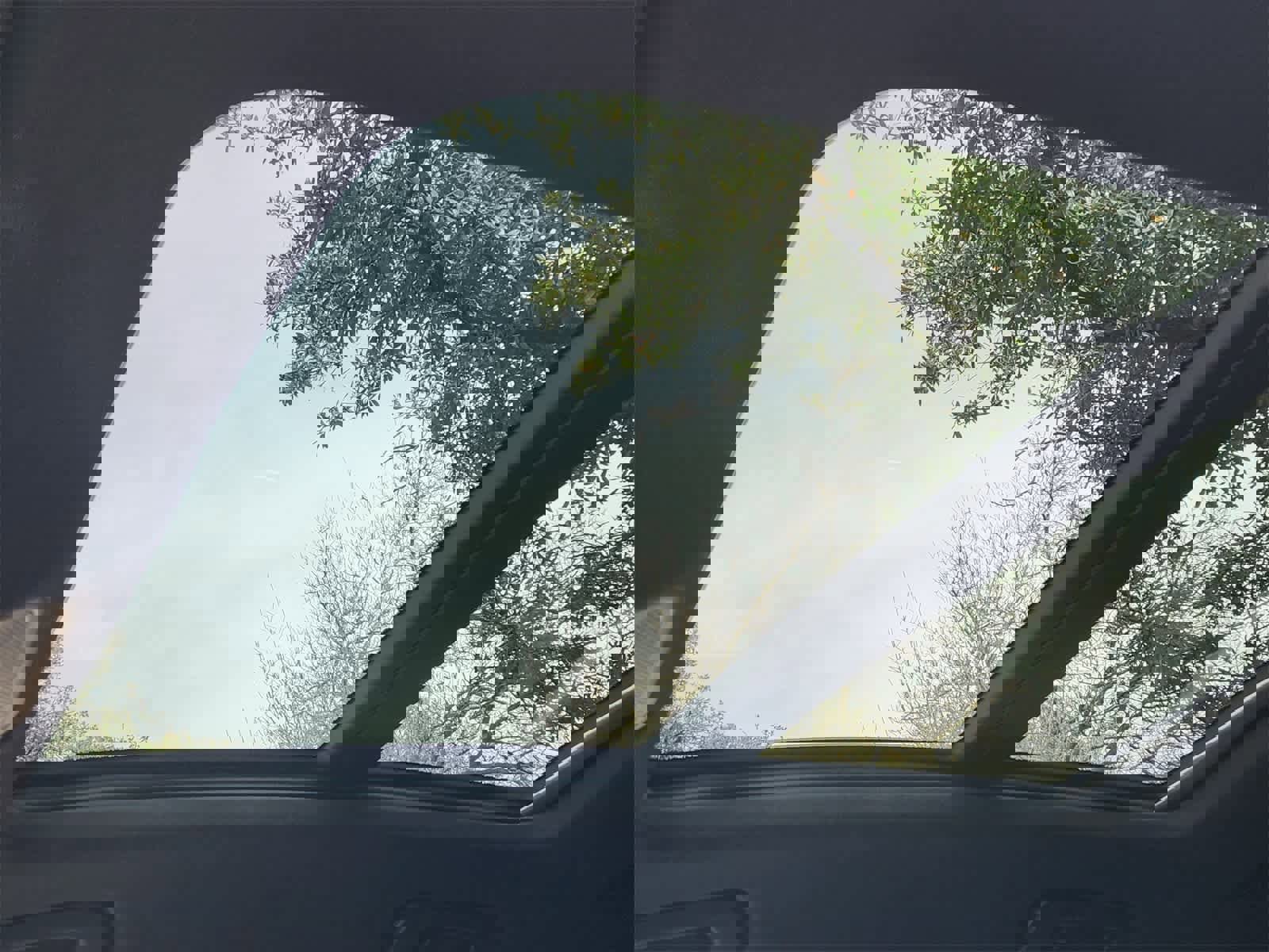 Used 2017 Audi Q3 2.0T Premium Plus w/ Premium Plus Package image 24