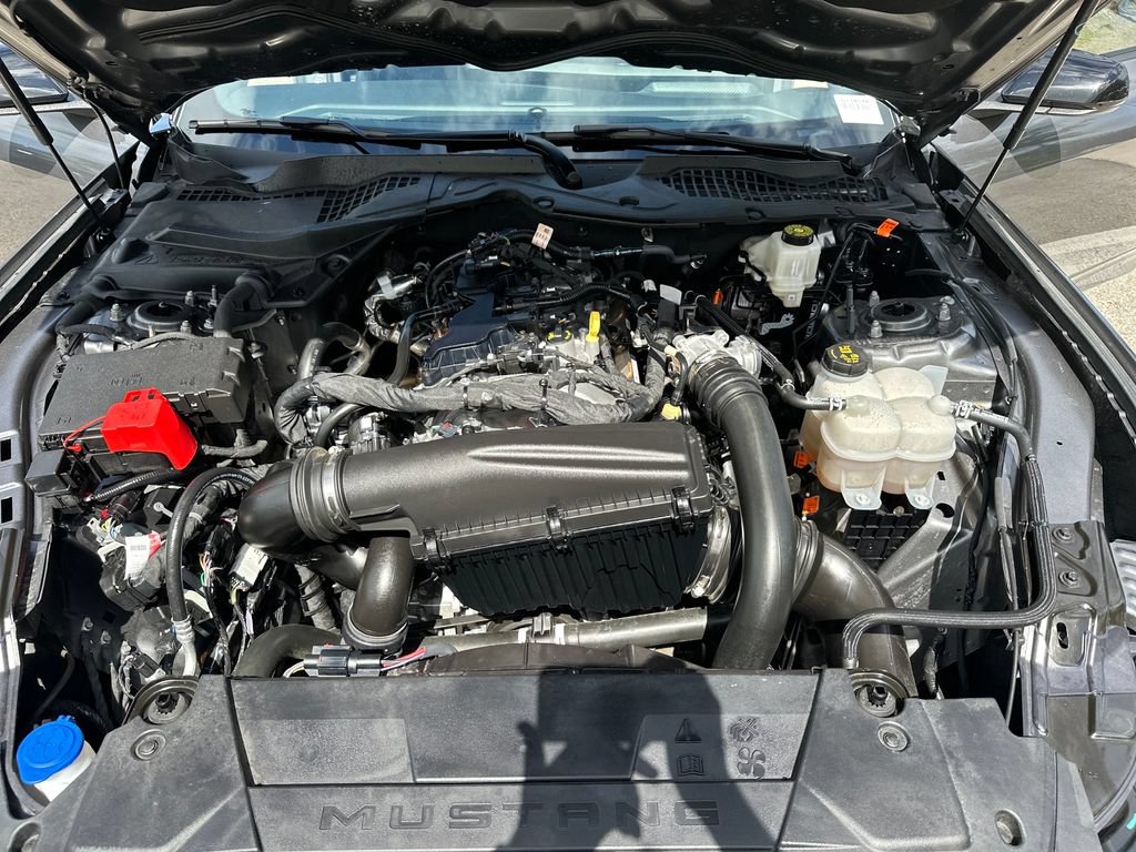 Used 2024 Ford Mustang Premium w/ Mustang Nite Pony Package RWD image 15